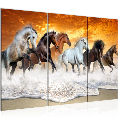 Wandbilder Wohnzimmer XXL Pferde Moderne Bilder Tiere